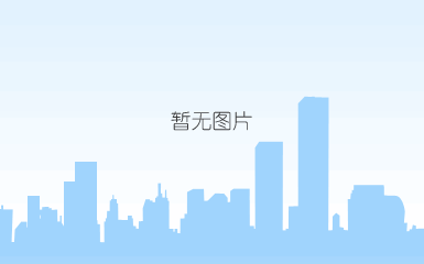 粘贴文本